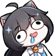 catDum