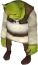 ShrekSad ShrekSad