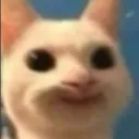 katto katto