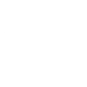 z_report