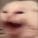 CatPossessed
