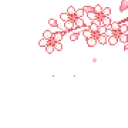borderpetals