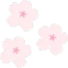dsblossoms dsblossoms