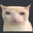 fakecat_what
