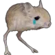 friendsad friendsad