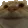 CatNod