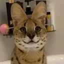 Awardwinningsmile