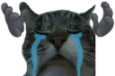 berwoeisme