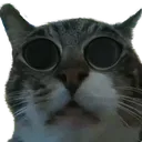 berwide berwide