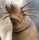 liveslug liveslug