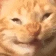 KEKW