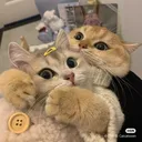 Hugs hugs Discord Emoji