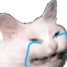 cattocry