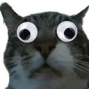 bergoogly bergoogly