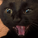 ch_scream Discord emoji