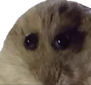 emoji_9