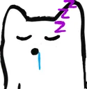 Ji_Cat_Sleeping
