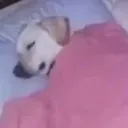 sleepyy