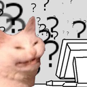 confusedcatto confusedcatto