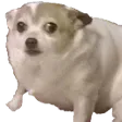 concern