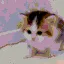 meow