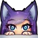 LC_Peek