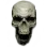 samsung_skull