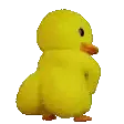 booty_duck