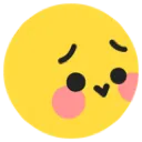 ttblush