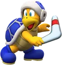 boomerangturtle