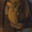 cmonShrek