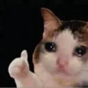 sadcatthumbsup
