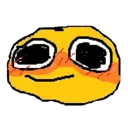 mn