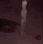 broisdead
