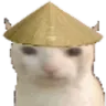 BruhCatChinese