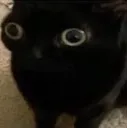 WAT