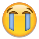 crying Discord Emoji