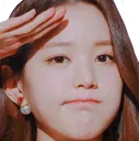 wonsalute
