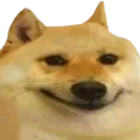 DoggoBueno