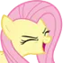 flutteryay