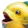 pogfish