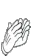Clap