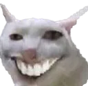 c_peniscat