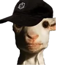 goatDESZA