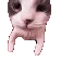 Catkiss
