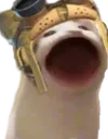 omegacat