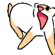 ferretzoomiesgo ferretzoomiesgo