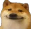 ayo