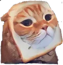 zAP_catbread