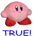 TRUE TRUE